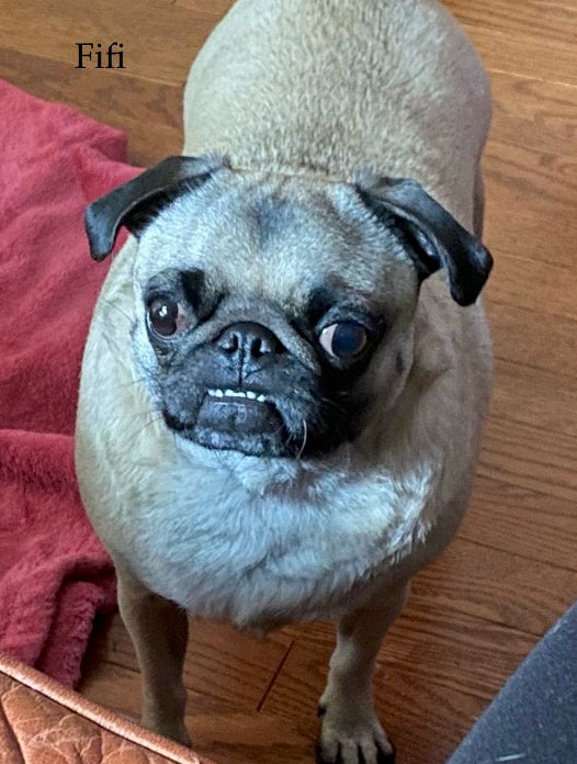 The Fifi Leather "Armadillo" Backpack