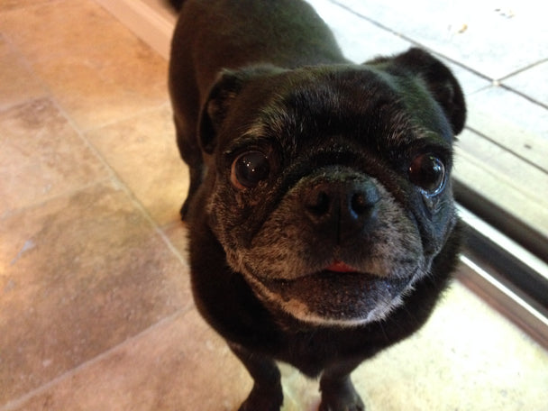 The Matilda Leather Glasses Case