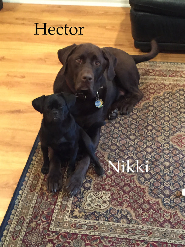 The Hector Leather Briefcase