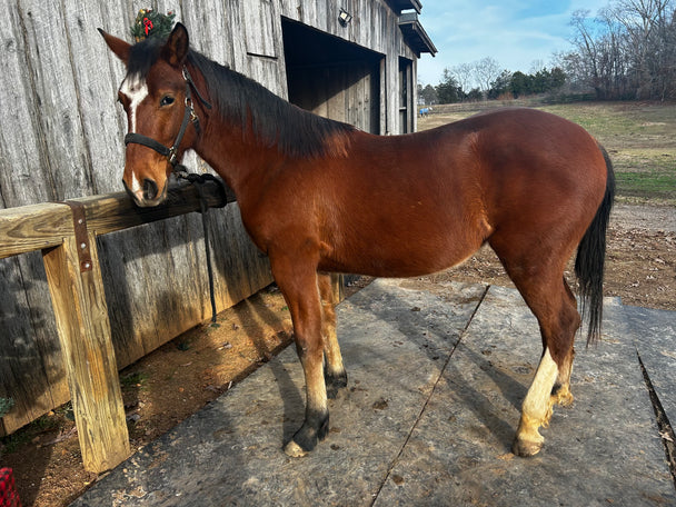 The Izzy Leather Crossbody Bag