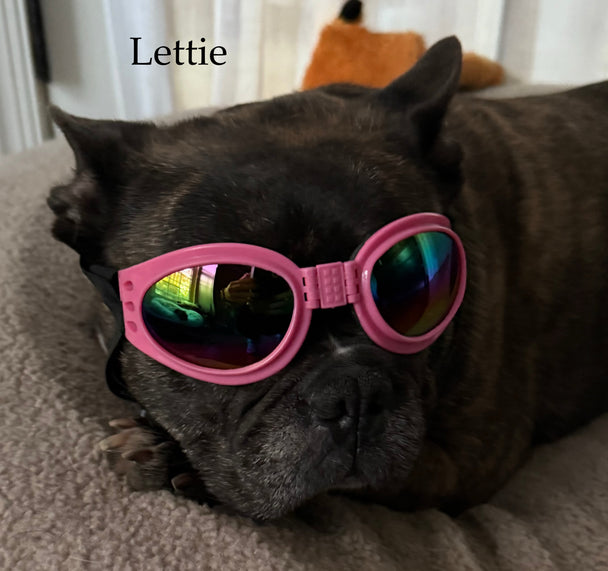 The Lettie Leather Duffle Bag