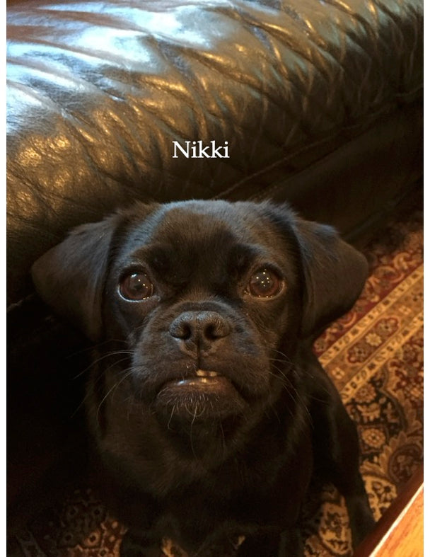 The Nikki Leather Messenger Bag